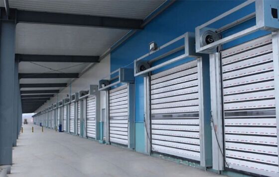 Fire Proofing IP55 Protection Customized Size Aluminum Alloy High Speed Roller Shutter Door for Industrial Use